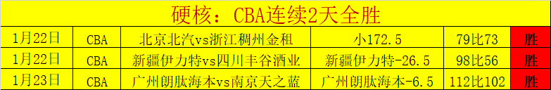 鹈鹕客场惊,险击败森林,锡安贡献,新葡京,新葡京app,新葡京娱乐,新普京赌场
